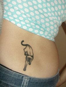 Tattoo macska, macskák (értelmét, fotók, vázlatok), tattoofotos