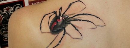 Tattoo - pók fontosságát lányok, fiúk, az övezetben