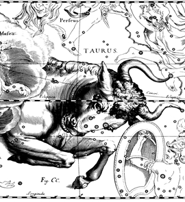 Taurus abban az évben a kutya (férfi) személyiség jellemzői - asztrológia a szakemberek