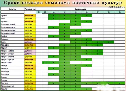 Kültéri virágcserepek a kezüket, hogyan kell csinálni (make) Kültéri virágcserepek a kezüket, hogyan lehet