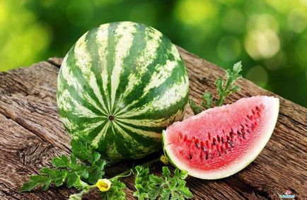 A növekvő görögdinnye az üvegházban - ültetés és gondozás