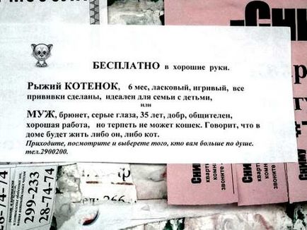 Szeretne több neighing; ) Rzhach ru - humor, viccek, anekdoták (rzhach) Szeretne több neighing; ) Rzhach ru - humor, viccek, anekdoták