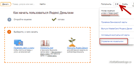 Yandex pénzt