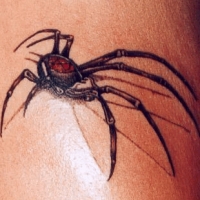 Jelentés pók tetoválás
