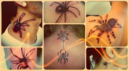 Jelentés tetoválás pók értelme, történelem, fotók