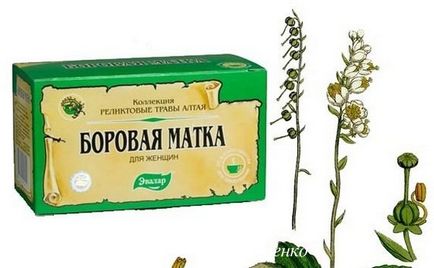 Borovaya méhben tea