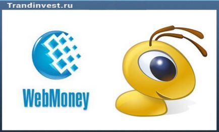 Hogyan kell megnyitni pénztárcák WebMoney