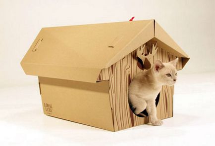Hogyan építsünk egy házat a macskát