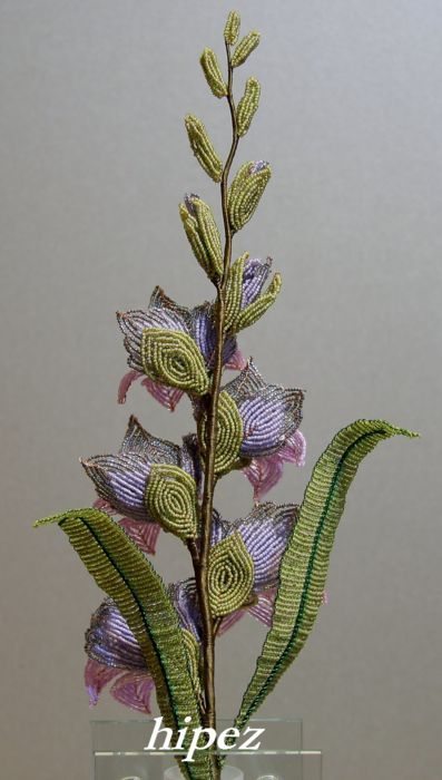 Gladiolus gyöngyök mesterkurzus