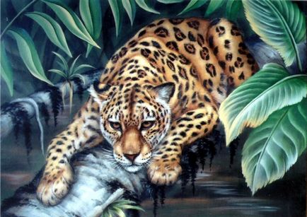 Jaguar, mi ez