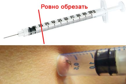 Hogyan vonjuk ki a kullancs Hogyan vonjuk ki a kullancs