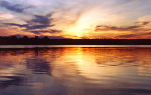 Hogyan, hogy a halakat a Volga Hogyan, hogy a halakat a Volga