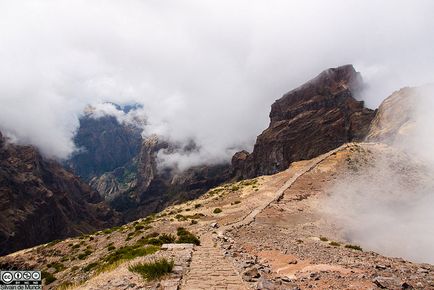 Hogyan repülni Madeira