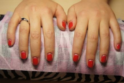 Shellac lengyel otthon