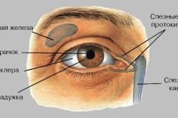 Hogyan lehet eltávolítani a foltot a szem
