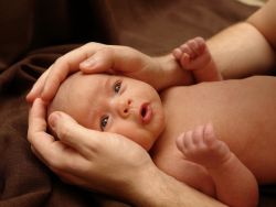 Hogyan működik a fej Hogyan működik a fej