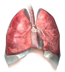 tüdőfertőzést