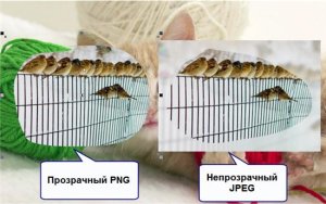 Hogyan lehet megjeleníteni képernyők Hogyan lehet megjeleníteni képernyők