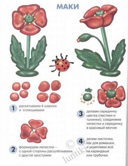 Hogyan készítsünk egy virágot ki gyurmából