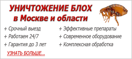 Mi jelenik meg a bolhák Mi jelenik meg a bolhák