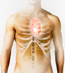 A cardiovascularis betegségek A cardiovascularis betegségek
