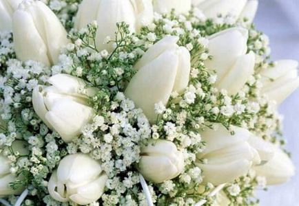 Esküvői csokor tulipán Esküvői csokor tulipán