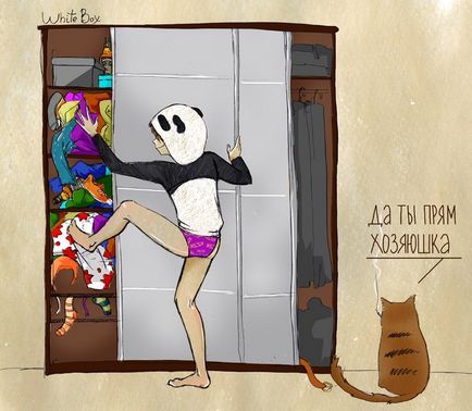 Panda és a hó törpemacska Panda és a hó törpemacska