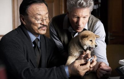 Akita Inu, hűséges Hachiko (Akita Inu kennel) Akita Inu, hűséges Hachiko