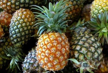 Ananász tulajdonságok és előnyök a szervezet számára, az élelmiszeripar és az egészségügy (használat) Ananász tulajdonságok és előnyök a szervezet számára, az élelmiszer és az egészség