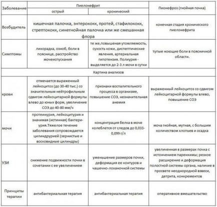 Antibiotikumok a gyulladás a vesék és a húgyhólyag tabletták