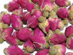 Rosebuds - leírás képekkel; tea rózsa bimbó