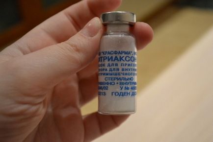 Az intramuscularis ceftriaxon - hogyan szaporodnak (izomba) Az intramuscularis ceftriaxon - hogyan szaporodnak