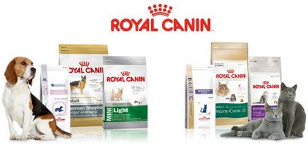 A takarmány cica (Royal Canin Babycat) Mi a takarmány egy cica