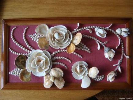 Mit lehet tenni a tengeri kagylókból