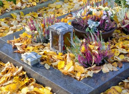 Mi a növény egy temetőben a szöveg és fotó