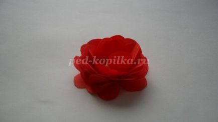 Virágok a papír ajándék anya saját kezűleg (papír) Virágok a papír ajándék anya saját kezűleg