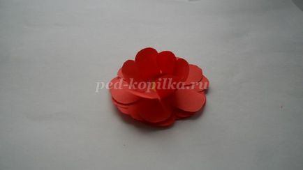 Virágok a papír ajándék anya saját kezűleg (virág) Virágok a papír ajándék anya saját kezűleg