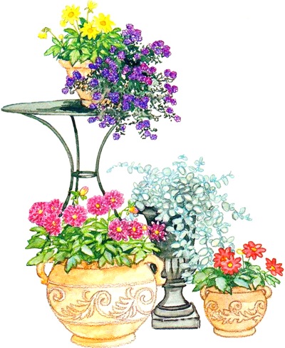 Virág dália (Dahlia) virág dália