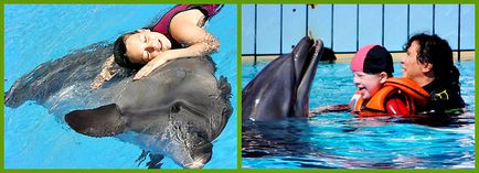 Delfinterápiás vagy delfinekkel kezelésére emberek (ember) Delfinterápiás vagy delfinekkel kezelni az embereket