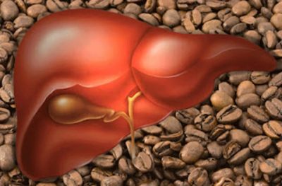 Hatása a kávé az emberi szervezetre, ha a koffein káros (akció) Hatása a kávé az emberi szervezetre, ha a koffein káros