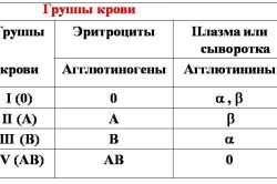 Diéta vércsoport (vércsoport diéta) A vércsoport diéta