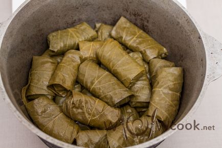 Dolma szőlőlevél, a lépésről lépésre recept fotók