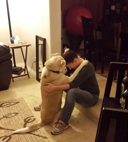Fényképeket azt mutatja, hogy a kutya az ember legjobb barátja, umkra