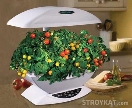 Hydroponics saját kezét - különféle módszerekkel - okok, udvar, kert, villa - telek öntözés (építőipari vállalatok) Hydroponics saját kezét - különféle módszerekkel - okok, udvar, kert, villa - telek öntözés