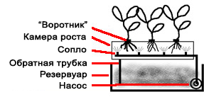 Hydroponics saját kezét - különféle módszerekkel - okok, udvar, kert, villa - telek öntözés (az épület egy portál Magyarország) Hydroponics saját kezét - különféle módszerekkel - okok, udvar, kert, villa - telek öntözés
