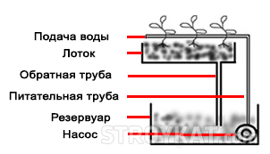 Hydroponics saját kezét - különféle módszerekkel - okok, udvar, kert, villa - telek öntözés (építőmérnöki cégek) Hydroponics saját kezét - különféle módszerekkel - okok, udvar, kert, villa - telek öntözés