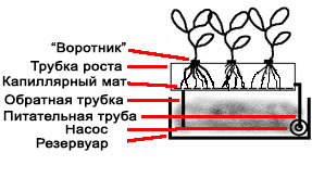 Hydroponics saját kezét - különféle módszerekkel - okok, udvar, kert, villa - telek öntözés (épület portál Moszkva) Hydroponics saját kezét - különféle módszerekkel - okok, udvar, kert, villa - telek öntözés