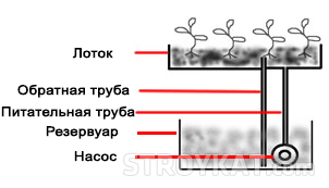 Hydroponics saját kezét - különféle módszerekkel - okok, udvar, kert, villa - telek öntözés (épület könyvtár) Hydroponics saját kezét - különféle módszerekkel - okok, udvar, kert, villa - telek öntözés