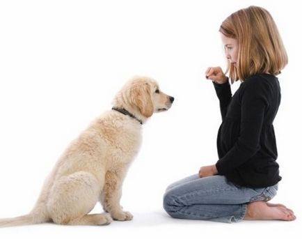 Hogyan lehet boldog (előnyök) Hogyan lehet boldog