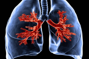 Hogy fáj tüdő elülső tünetek inhalálás során az emberben, köhögés